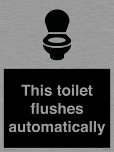 This toilet flushes automatically